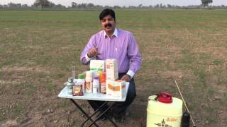 Video  1 of 27 Wheat Weed Management amp Herbicdes – Types of weeds amp Weedicides Practical Lecture Se [upl. by Anawait]