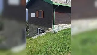 Esplosione in un rifugio in Valtellina a pranzo di Ferragosto [upl. by Ranson802]