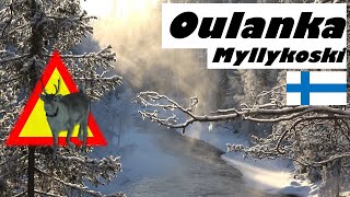 Zu kalt 33°C Finnland Winter Wanderung Oulanka Myllykoski [upl. by Eihs]