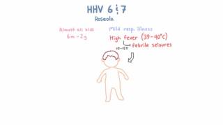 HHV 6 and 7  Roseloa [upl. by Orlantha358]