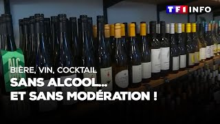 Bière vin cocktail  sans alcool et sans modération [upl. by Seugirdor133]