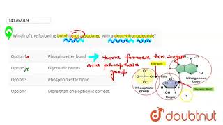 Whichof the following bond is notassociated with a deoxyribonucleotide  CLASS 12  MOLECULAR B [upl. by Onaicnop]