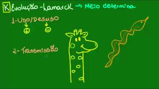 Lamarckismo  Evolução  Biologia [upl. by Tem864]