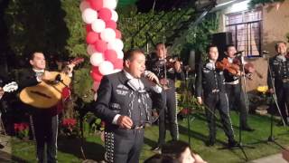 MARIACHI DE BUENAVISTA TULTITLAN INF 5540550891 [upl. by Alaric593]