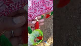 simple saree kuchulu veyadam Ela Telugu lo palletoori pilla videos [upl. by Atiuqrehs]