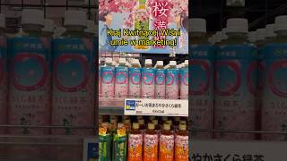 Japonia i kwitnąca wiśnia na produktach 🌸  Japoński sklep  Sakura  Enma Official [upl. by Lamphere332]