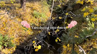 Yarn dyeing experiment [upl. by Cherice]