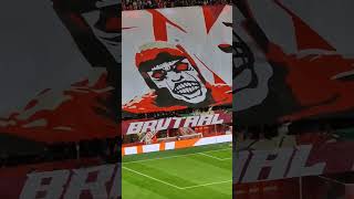 Sfeeracties FCTwente vs Fenerbahçe 11 [upl. by Spragens557]