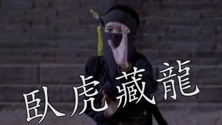 Crouching Tiger Hidden Dragon 4Character Sayings  Learn Chinese Now [upl. by Marciano]