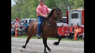 2017 Big Guns Speed Class [upl. by Eirbua]