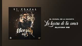 El Chaval de la Bachata  La Locura De tu Amor [upl. by Grevera]