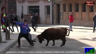 ALDEANUEVA DE EBRO LA RIOJA MATINAL DOMINGO 2 ENERO 2022 EULOGIO MATEO [upl. by Cummine934]