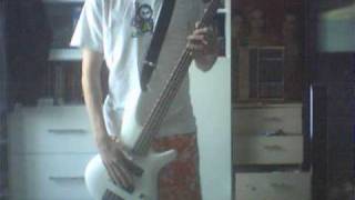 Korn  Shoots and Ladders Bass cover [upl. by Tsenrae]