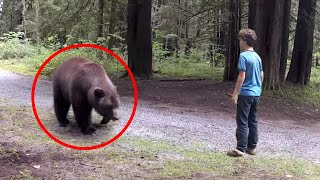 30 Scariest Bear Encounters Ever Caught on Camera [upl. by Inalaek814]