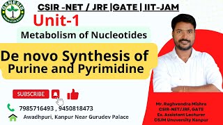 Metabolism of Nucleotides  De Novo Synthesis of Purine  L22 [upl. by Jeconiah]