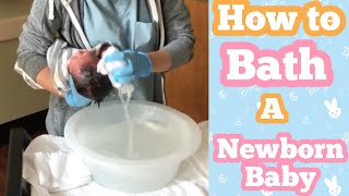 How to Bath a Newborn Baby  Newborns First Bath  New Mom Teaching Lesson [upl. by Winne]