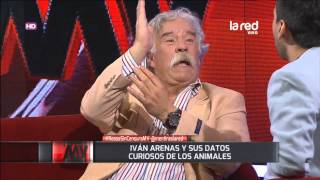 Iván Arenas y sus curiosos datos de los animales [upl. by Innavoij]