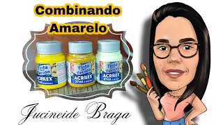 combinandocores  qual cor combina com amarelo luz e sombra para o amarelo  tintas acrilex [upl. by Llerdnek]