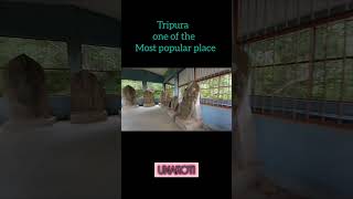 Tripura unakoti 12 july 2024 song music viralvideo minivlog viralvideo 2024 shortvideo [upl. by Khano38]