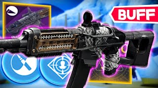 This Auto Rifle Will Be Meta Next Season Insane After The Buff [upl. by Esinahs]