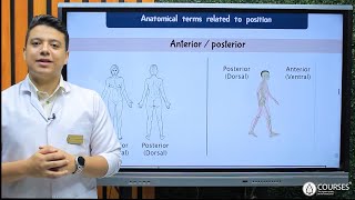 Introduction to Anatomy amp Embryology  Part 3 [upl. by Currey]