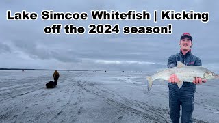 Lake Simcoe Whitefish  Kicking off the 2024 season [upl. by Juliet]