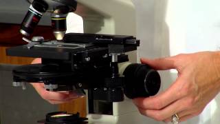 Compund microscope lab demo [upl. by Albina]