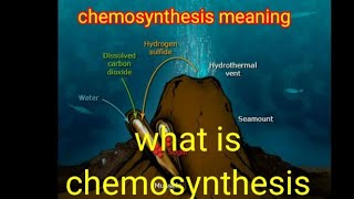 chemosynthesis  chemosynthesis definition chemosynthesis in hindi chemosynthesis [upl. by Anett827]