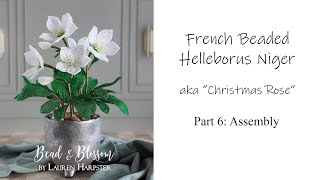 French Beaded Helleborus Niger  the quotChristmas Rosequot  Part 6 Assembly [upl. by Dede2]