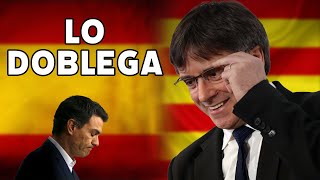 Puigdemont doblega a Sánchez [upl. by Roy]