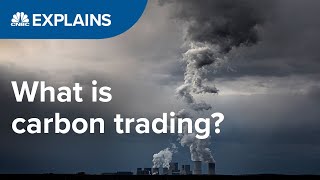 What is carbon trading  CNBC International [upl. by Anhsirk78]