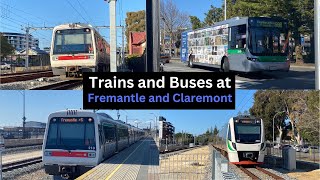 Buses and Trains at Fremantle and Claremont [upl. by Aunson38]