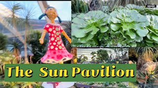 Succulents GardenCactus Garden Gardens By The Bay Singapore  The Sun Pavilionviral [upl. by Aneliram]