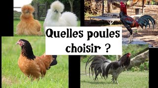 Quelles poules choisir [upl. by Ardnuahs]