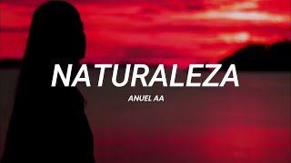 Anuel AA  Naturaleza  LETRA [upl. by Nefen]