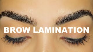 I TRIED AT HOME BROW LAMINATION DIY [upl. by Atiuqrehs694]