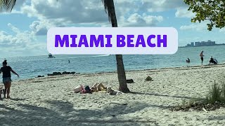 Miami Beach Florida Walking Tour 4K [upl. by Kcirrem]