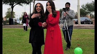 The Best Flash Mob Proposal Ever Bollywood Surprise in Houston [upl. by Sergu748]