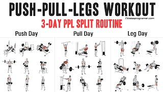 3 Day Push Pull Legs PPL Workout Routine [upl. by Jaime]