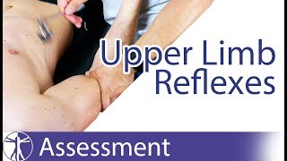 Upper Limb Deep Tendon Reflexes  Peripheral Neurological Examination [upl. by Fanni131]