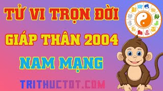 Tử Vi Trọn Đời Giáp Thân 2004 Nam Mạng [upl. by Enailil]