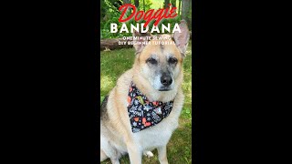 One Minute Sewing Dog Bandana Tutorial for Beginners [upl. by Akemrehs820]