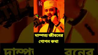 দাম্পত্য জীবনের গোপন কথা  mizanur rahman azhari waz মিজানুররহমানআজহারীনতুনওয়াজ [upl. by Av]