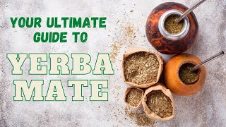 Your Ultimate Guide to Yerba Mate [upl. by Anelim]