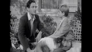 Lassie  Episode 21  quotBlind Soldierquot Originally broadcast 01301955 [upl. by Itnuahsa151]