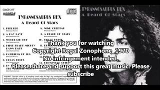 Tyrannosaurus Rex  A Beard of Stars 1970 Full Album [upl. by Yenhpad]