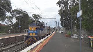 Trains in the Northern Suburbs ft TNSW Vlogs Siemens Train and Comeng998 Railway Videos [upl. by Yasmin]