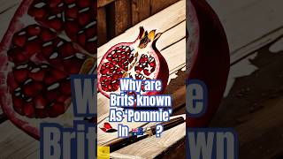 What is the REAL Origin of ‘Pommie’ britishhistory australia britain history funfacts pommies [upl. by Sink]