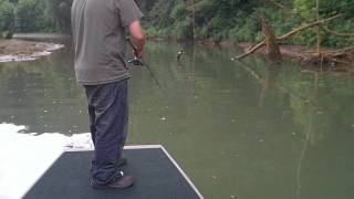 Fishing on a Modified Tracker Topper 15 1542 Aluminum Boat [upl. by Almallah]