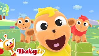 Schaapje Schaapje  Liedjes amp Rijmpjes  BabyTV Nederlands [upl. by Schulman]